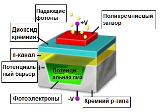 Матрица в разрезе / общий вид